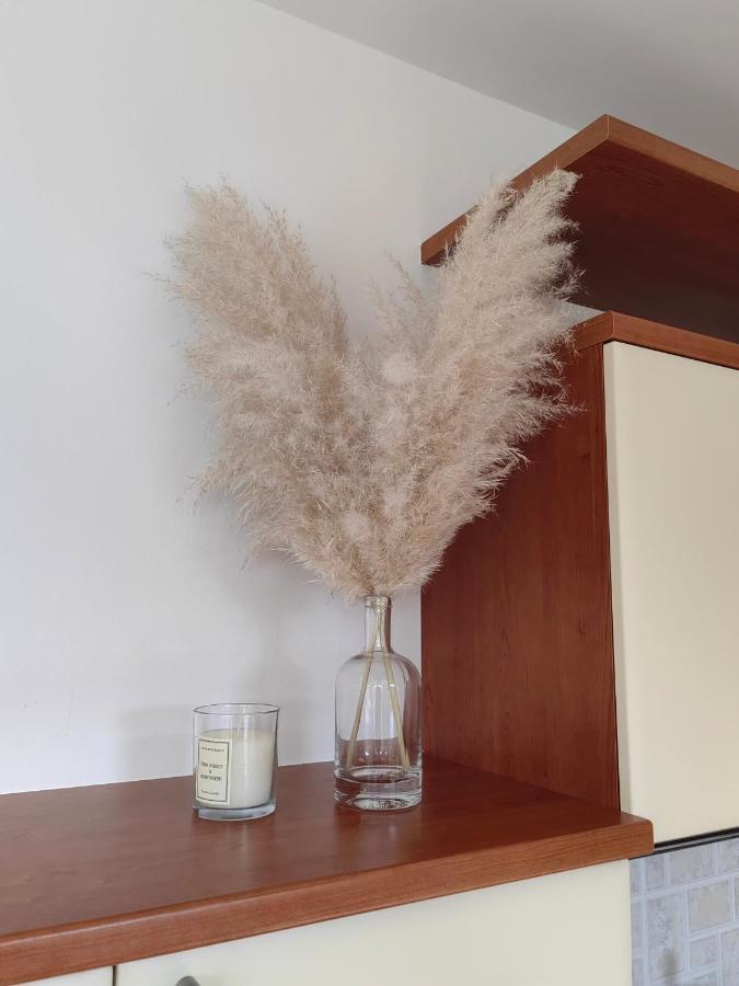Sea View Apartment & Studio Apartment Bruno Umag Bagian luar foto