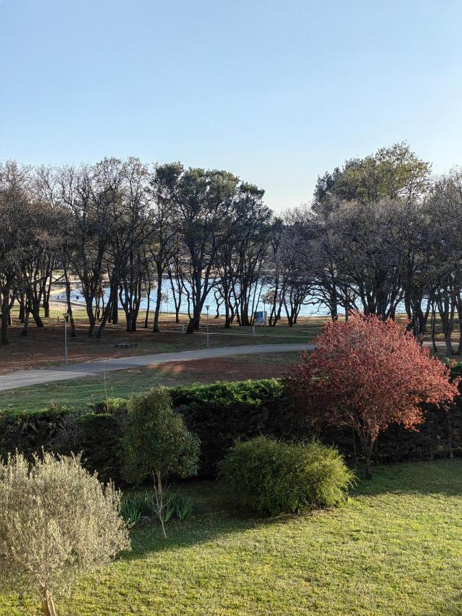 Sea View Apartment & Studio Apartment Bruno Umag Bagian luar foto